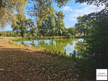 terrain 3840 m² magnac bourg