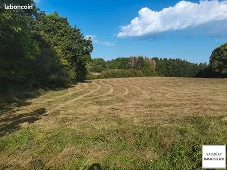 terrain 18847 m² magnac bourg