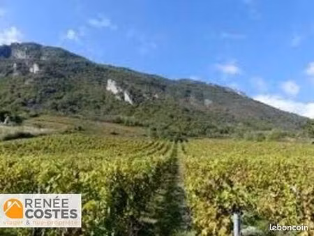 maison en viager 6 pièces 110 m²