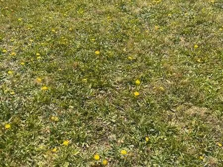 vente terrain à noyal-pontivy (56920) : à vendre / 985m² noyal-pontivy