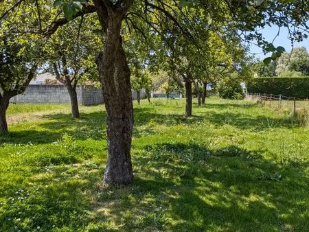 terrain constructible