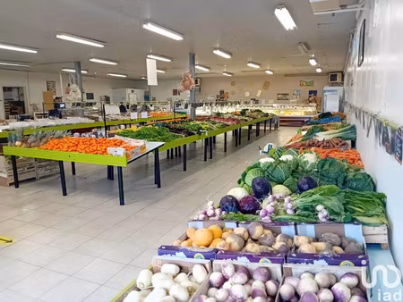 vente commerce 500 m² saint-léonard-de-noblat (87400)