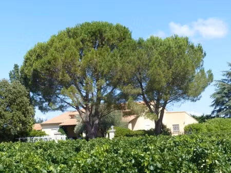 maison de luxe à vendre à richerenches