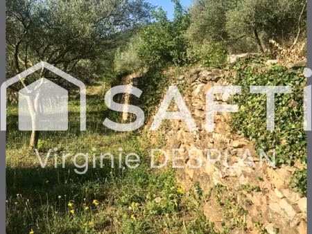 terrain 2017 m² lodeve