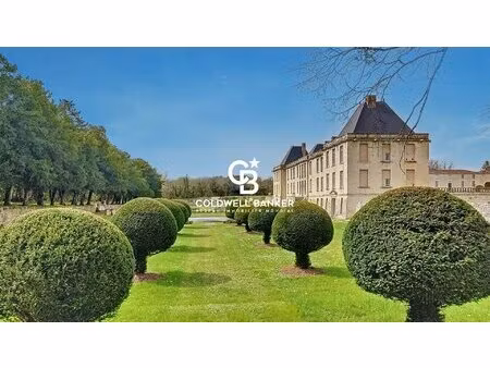 la vie de château dans un appartement - château du douhet