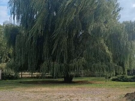 ? location terrain verdoyant – cérémonies  événements  activités