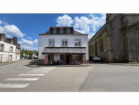 immeuble à vendre à pluvigner