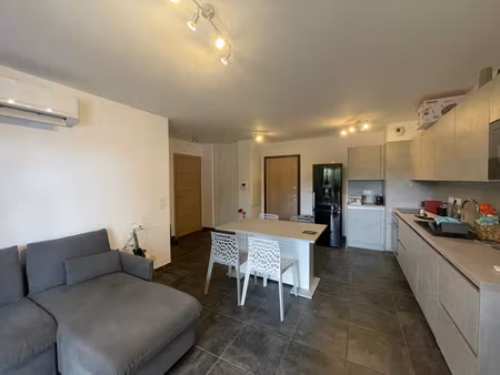 appartement 1 chambre avec jardin