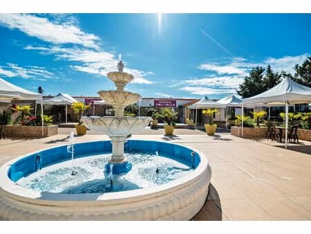 immobilier professionnel à vendre meyzieu