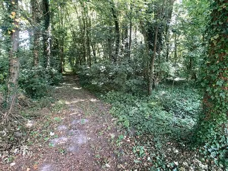 bosgrond met vijver nabij centrum hever.