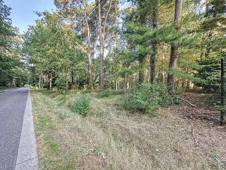 prachtige bouwgrond van 31 are met vergunning te mol-bel.