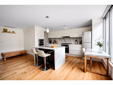 vente opportunité rare : deux logements proche de luçon