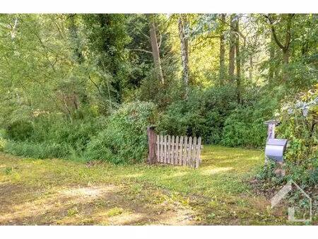 recreatiegrond in het groen