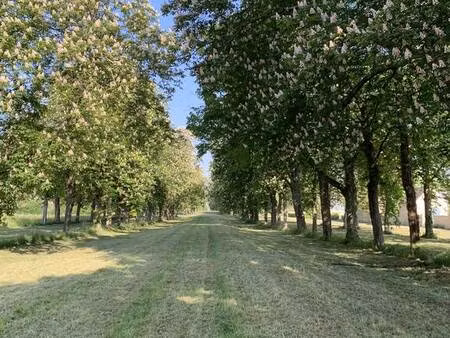 chaumont-sur-loire (41150)