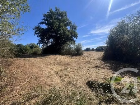 annonce vente terrain terrain de 8775m2 à villebret (03310) - paruvendu.fr ref 99278207962