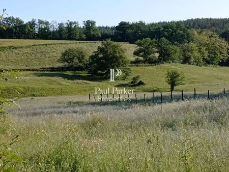 maison de luxe à vendre à saint-bonnet-de-joux