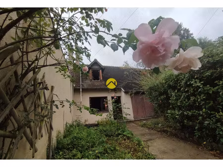 vente maison 3 pièces 64 m² vailly-sur-sauldre (18260)