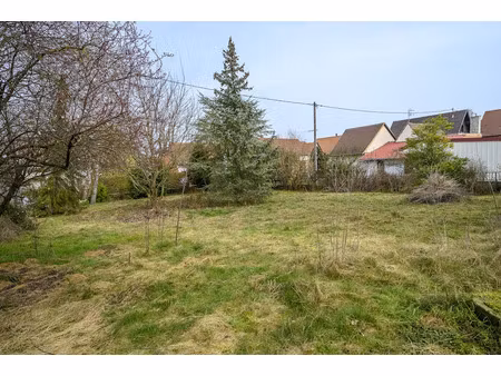 vente terrain 849 m² à willgottheim (67370)  166 000 €