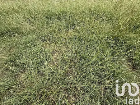 vente terrain 487 m² à sanguinet (40460)  173 000 €