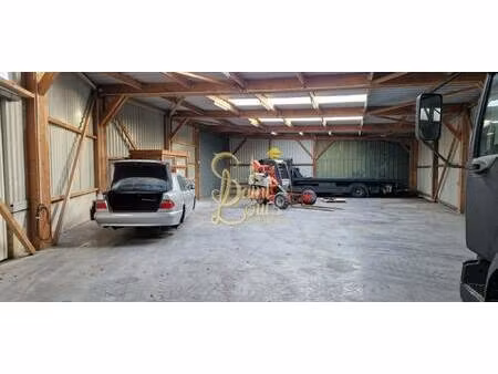 saint-louis immobilier