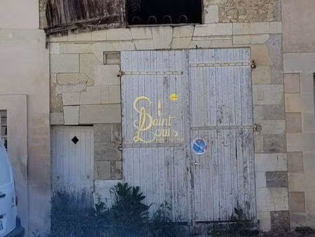 saint-louis immobilier