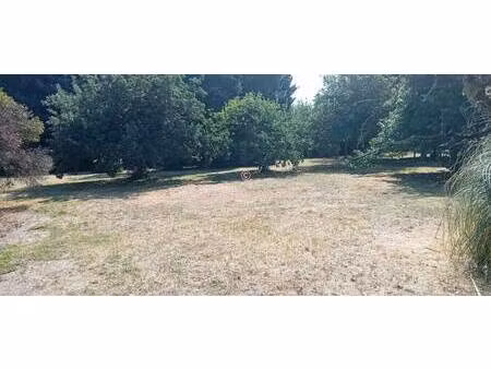 vincent leclercq dr house immo