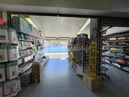 karine carpentier bsk immobilier