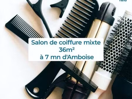 iad france séverine fevrier