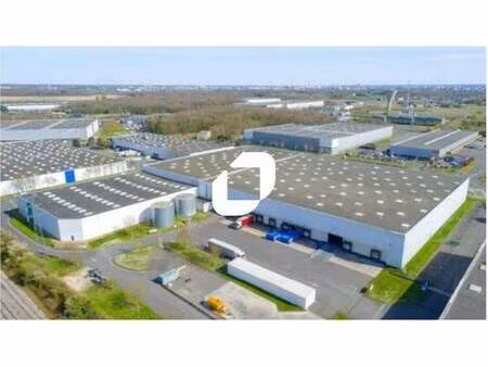 immprove grande activité & logistique