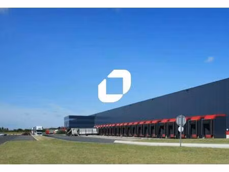 immprove grande activité & logistique