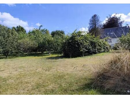 vente terrain à fouesnant (29170) : à vendre / 1006m² fouesnant