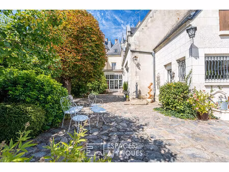 propriété de caractère avec local commercial et chambres d'hôtes face au château de langea