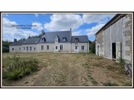 propriete à vendre 7 pièces proche de chateau du loir (72)