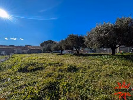 terrain constructible