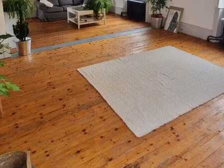 spacieux appartement de118 m2 avec jardin