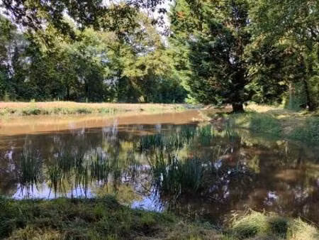 vallons-de-l'erdre (44540)