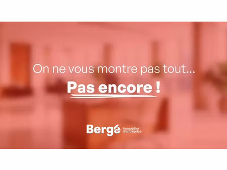 immobilier professionnel à louer cannes