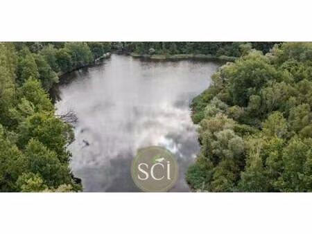 propriété avec piscine theillay (41)