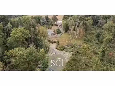 propriété avec piscine theillay (41)
