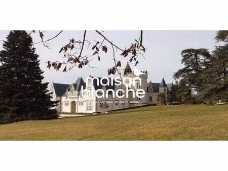 château saumur (49)