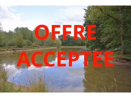 vente terrain 89798 m² prissac (36370)