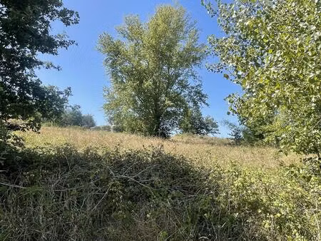 la bastide de besplas : au calme  joli terrain à bâtir de 2000 m