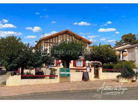 vente locaux professionnels 355 m² à cazaubon (32150)  366 000 €