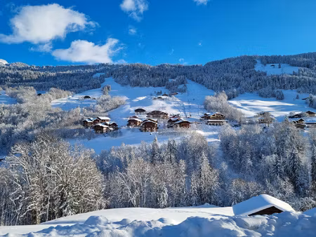 t3 meublé et rénové au pied des pistes