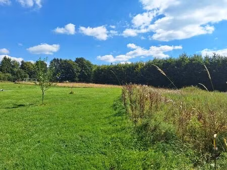 terrain à bâtir de 1995m² au pied des fagnes