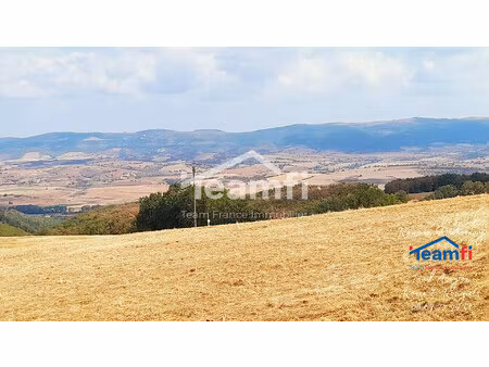 terrain constructible