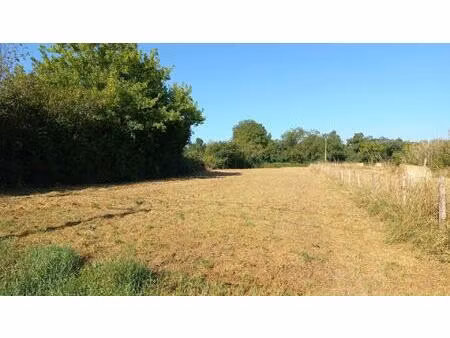 terrain constructible