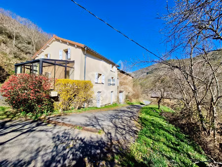 achat maison 10 pièces 300m² desges 43300