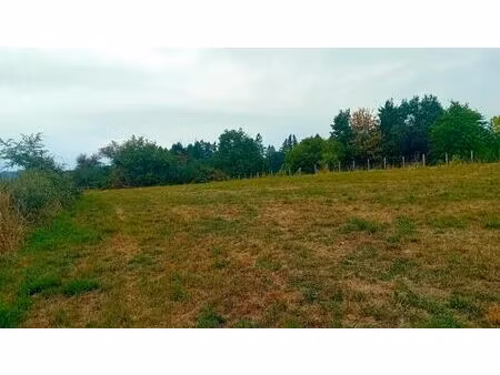 vente terrain 3129 m² condat-sur-ganaveix (19140)