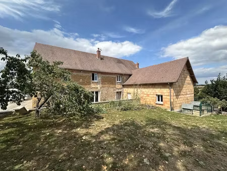 vente maison 7 pièces 230 m² à saint-didier-en-brionnais (71110)  420 000 €